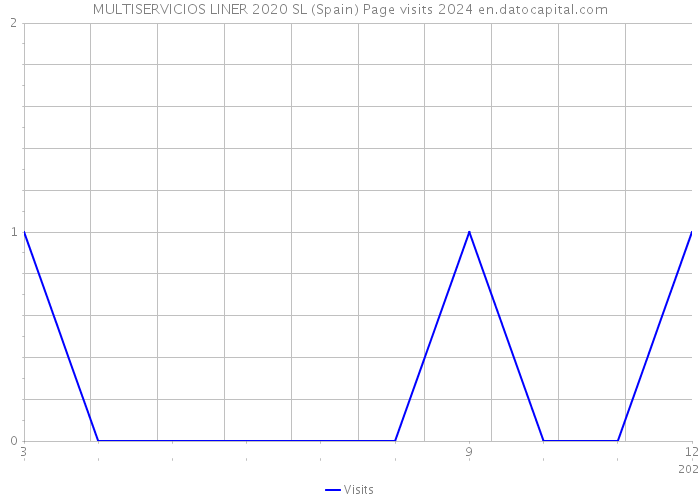 MULTISERVICIOS LINER 2020 SL (Spain) Page visits 2024 