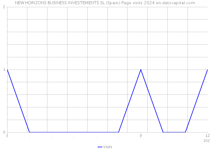 NEW HORIZONS BUSINESS INVESTEMENTS SL (Spain) Page visits 2024 