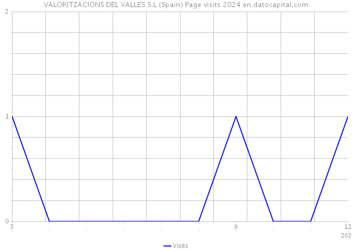 VALORITZACIONS DEL VALLES S.L (Spain) Page visits 2024 