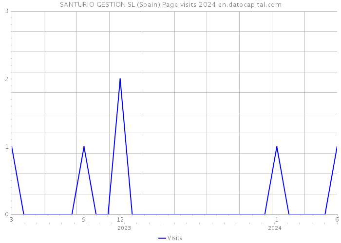 SANTURIO GESTION SL (Spain) Page visits 2024 