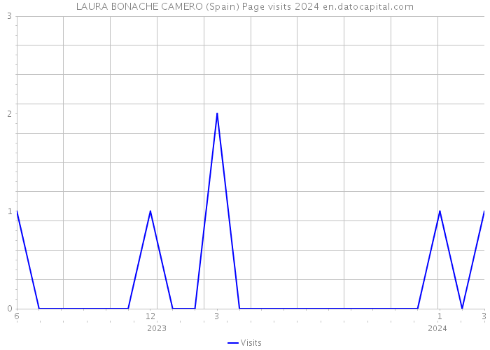 LAURA BONACHE CAMERO (Spain) Page visits 2024 