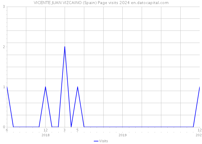 VICENTE JUAN VIZCAINO (Spain) Page visits 2024 