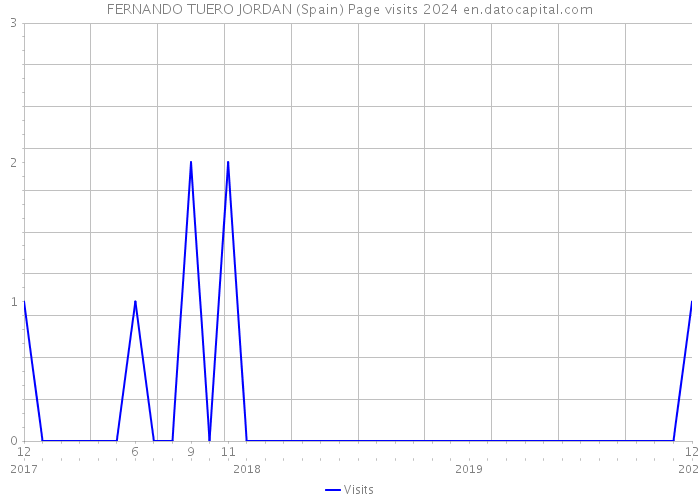 FERNANDO TUERO JORDAN (Spain) Page visits 2024 