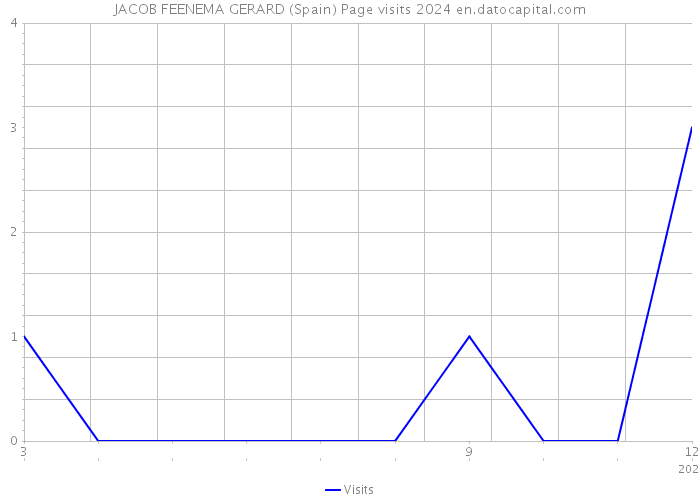 JACOB FEENEMA GERARD (Spain) Page visits 2024 