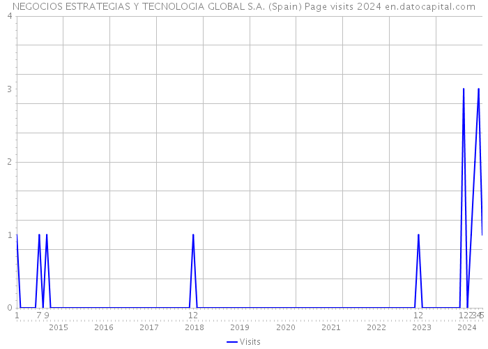 NEGOCIOS ESTRATEGIAS Y TECNOLOGIA GLOBAL S.A. (Spain) Page visits 2024 
