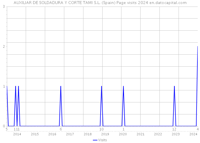 AUXILIAR DE SOLDADURA Y CORTE TAMI S.L. (Spain) Page visits 2024 