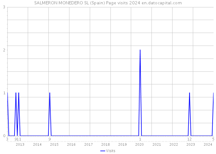 SALMERON MONEDERO SL (Spain) Page visits 2024 