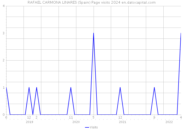 RAFAEL CARMONA LINARES (Spain) Page visits 2024 