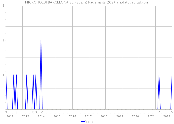 MICROHOLDI BARCELONA SL. (Spain) Page visits 2024 