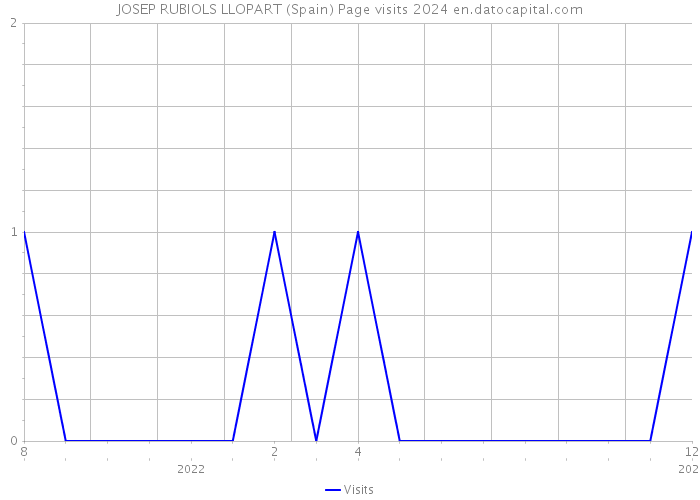 JOSEP RUBIOLS LLOPART (Spain) Page visits 2024 