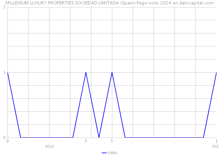 MILLENIUM LUXURY PROPERTIES SOCIEDAD LIMITADA (Spain) Page visits 2024 