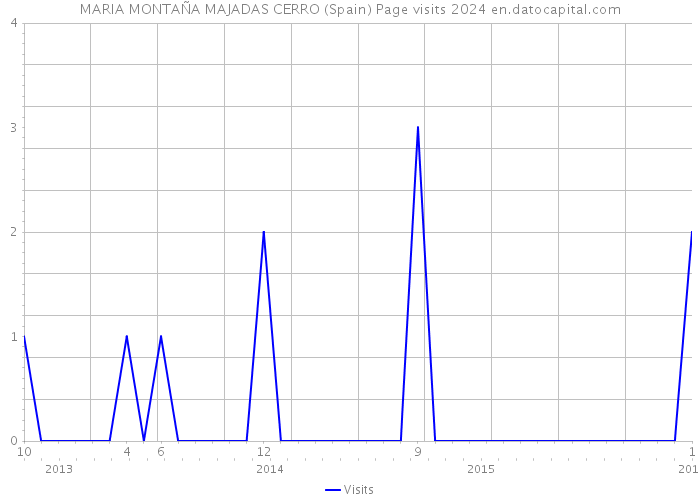 MARIA MONTAÑA MAJADAS CERRO (Spain) Page visits 2024 