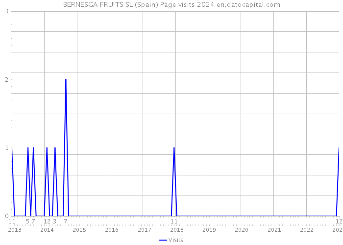 BERNESGA FRUITS SL (Spain) Page visits 2024 