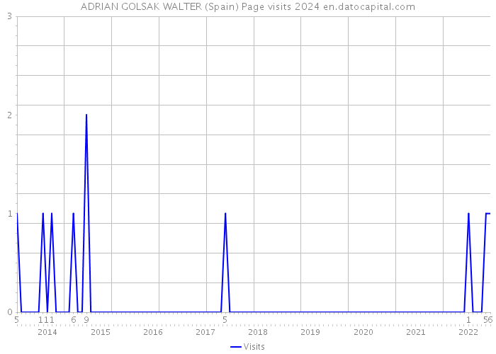 ADRIAN GOLSAK WALTER (Spain) Page visits 2024 