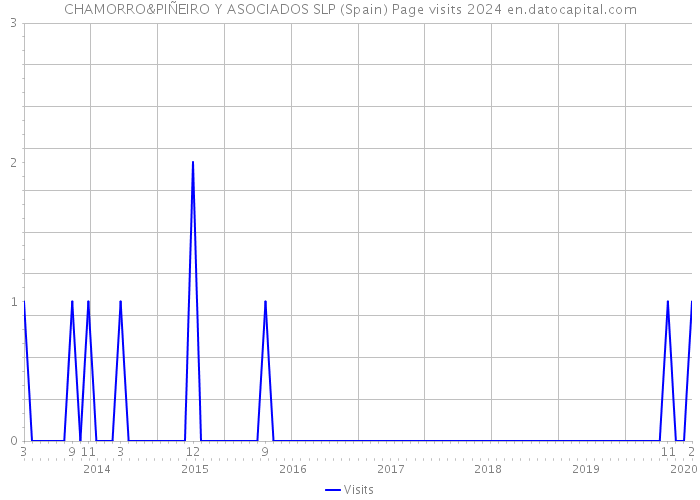 CHAMORRO&PIÑEIRO Y ASOCIADOS SLP (Spain) Page visits 2024 