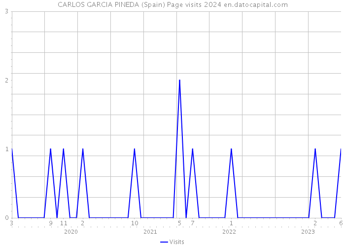 CARLOS GARCIA PINEDA (Spain) Page visits 2024 