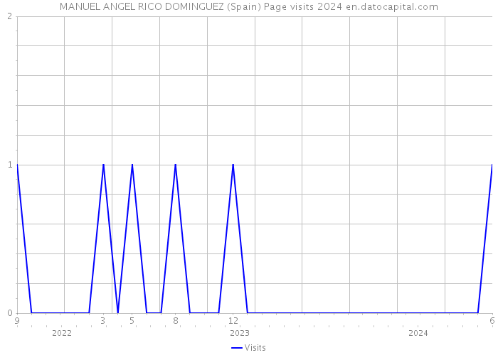 MANUEL ANGEL RICO DOMINGUEZ (Spain) Page visits 2024 