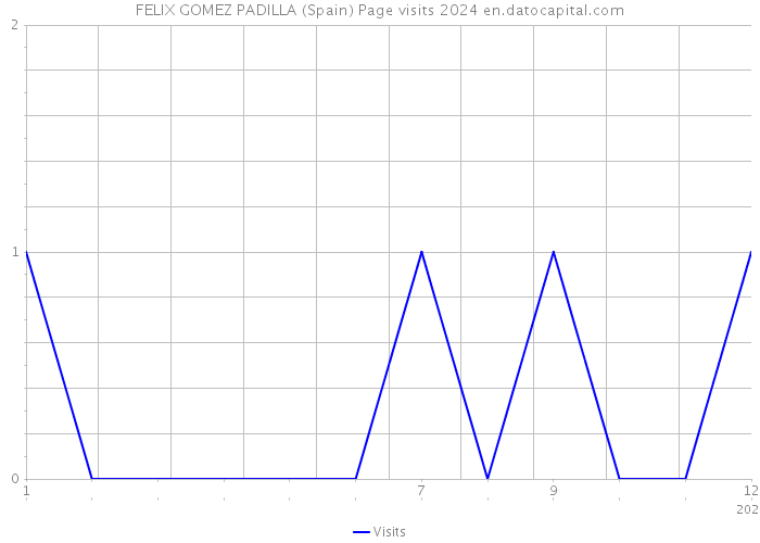 FELIX GOMEZ PADILLA (Spain) Page visits 2024 