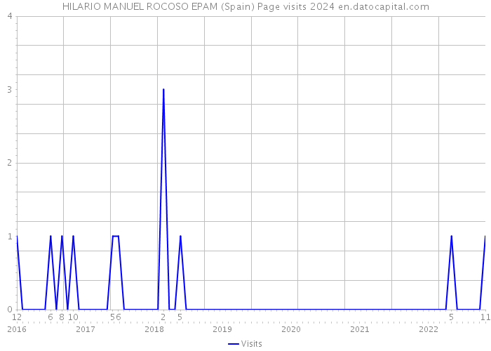 HILARIO MANUEL ROCOSO EPAM (Spain) Page visits 2024 