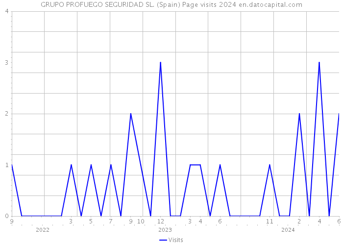 GRUPO PROFUEGO SEGURIDAD SL. (Spain) Page visits 2024 