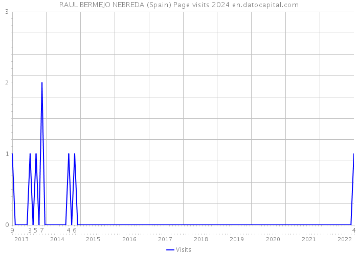 RAUL BERMEJO NEBREDA (Spain) Page visits 2024 