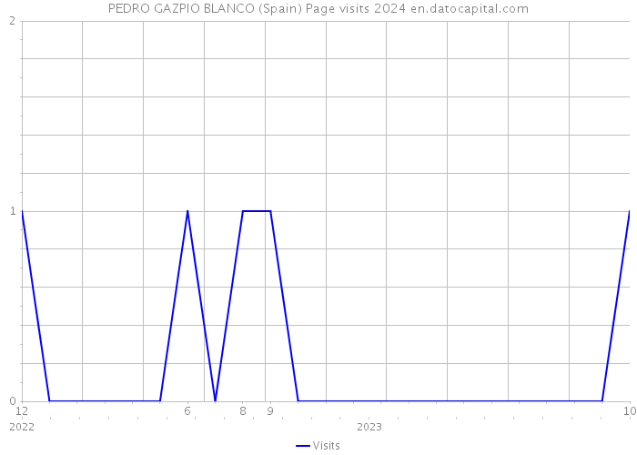 PEDRO GAZPIO BLANCO (Spain) Page visits 2024 