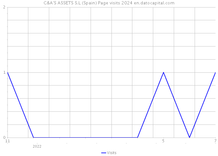 C&A'S ASSETS S.L (Spain) Page visits 2024 