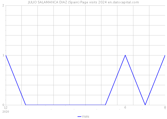 JULIO SALAMANCA DIAZ (Spain) Page visits 2024 