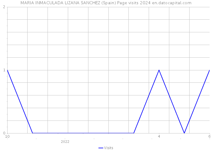 MARIA INMACULADA LIZANA SANCHEZ (Spain) Page visits 2024 