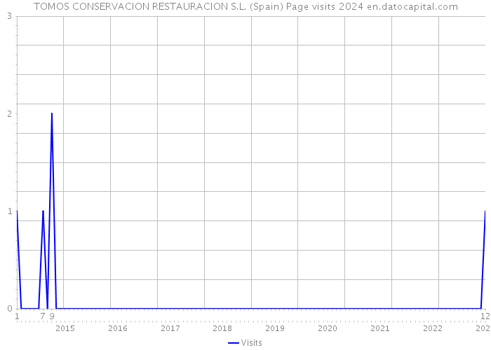 TOMOS CONSERVACION RESTAURACION S.L. (Spain) Page visits 2024 