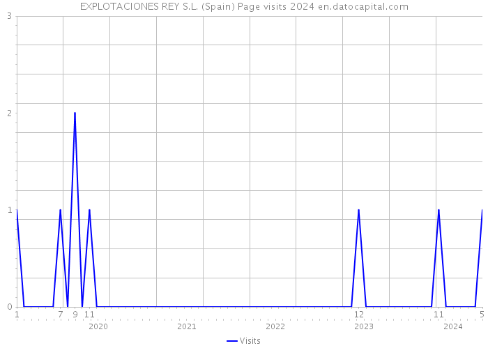 EXPLOTACIONES REY S.L. (Spain) Page visits 2024 