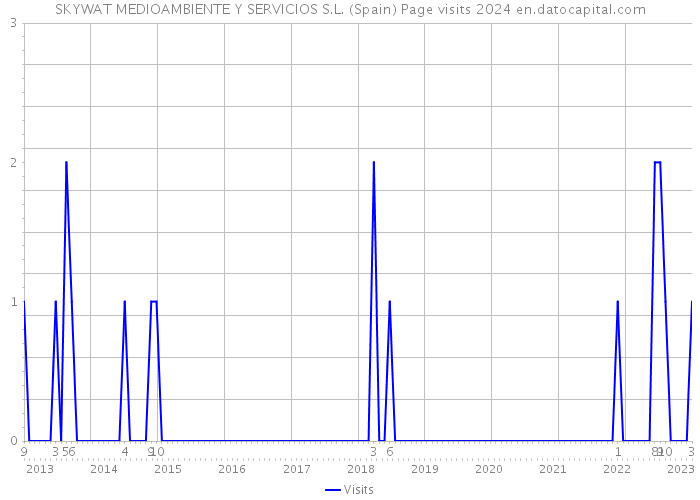 SKYWAT MEDIOAMBIENTE Y SERVICIOS S.L. (Spain) Page visits 2024 