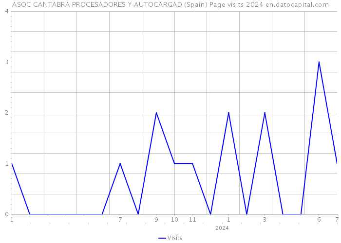ASOC CANTABRA PROCESADORES Y AUTOCARGAD (Spain) Page visits 2024 