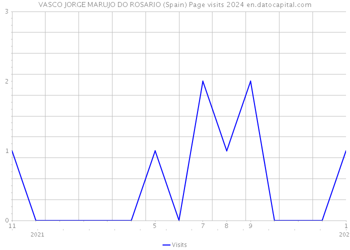 VASCO JORGE MARUJO DO ROSARIO (Spain) Page visits 2024 