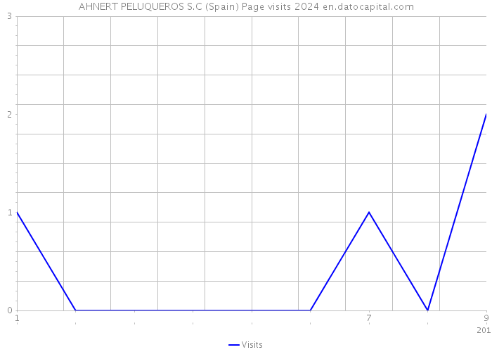 AHNERT PELUQUEROS S.C (Spain) Page visits 2024 