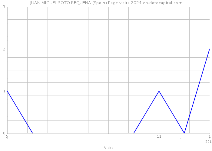 JUAN MIGUEL SOTO REQUENA (Spain) Page visits 2024 