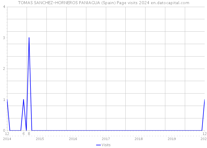 TOMAS SANCHEZ-HORNEROS PANIAGUA (Spain) Page visits 2024 