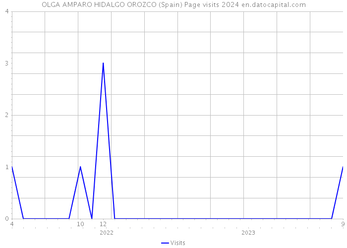 OLGA AMPARO HIDALGO OROZCO (Spain) Page visits 2024 