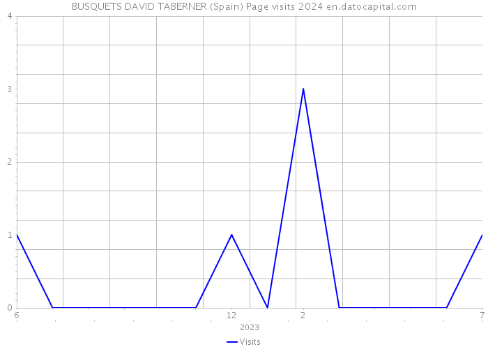 BUSQUETS DAVID TABERNER (Spain) Page visits 2024 