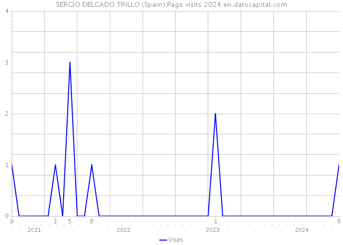 SERGIO DELGADO TRILLO (Spain) Page visits 2024 