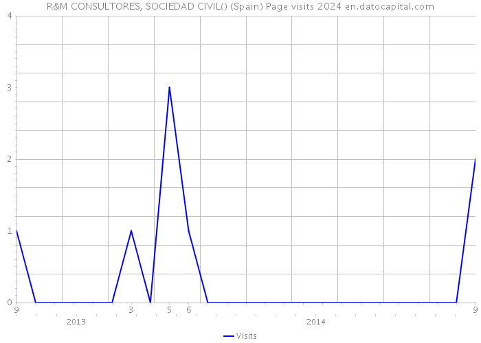 R&M CONSULTORES, SOCIEDAD CIVIL() (Spain) Page visits 2024 