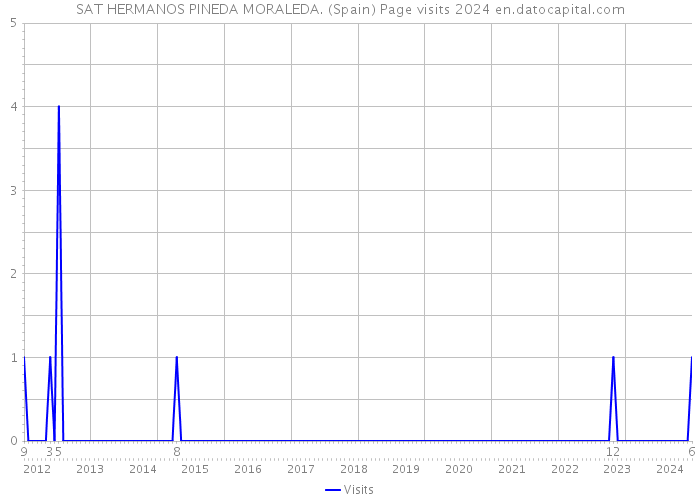 SAT HERMANOS PINEDA MORALEDA. (Spain) Page visits 2024 
