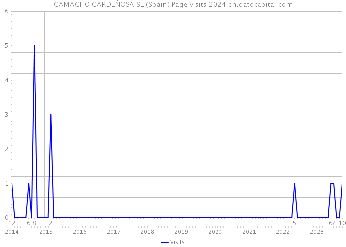 CAMACHO CARDEÑOSA SL (Spain) Page visits 2024 