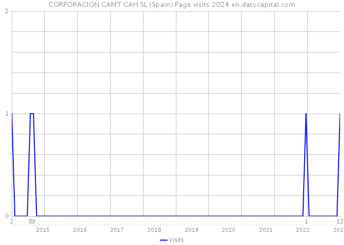 CORPORACION CAMT CAH SL (Spain) Page visits 2024 