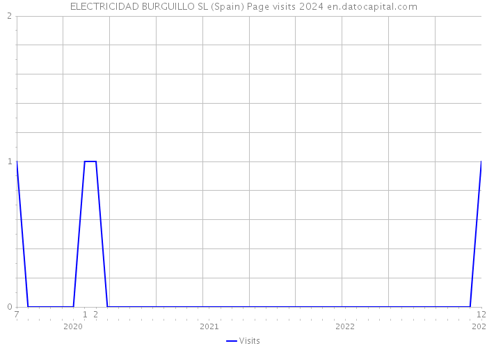 ELECTRICIDAD BURGUILLO SL (Spain) Page visits 2024 