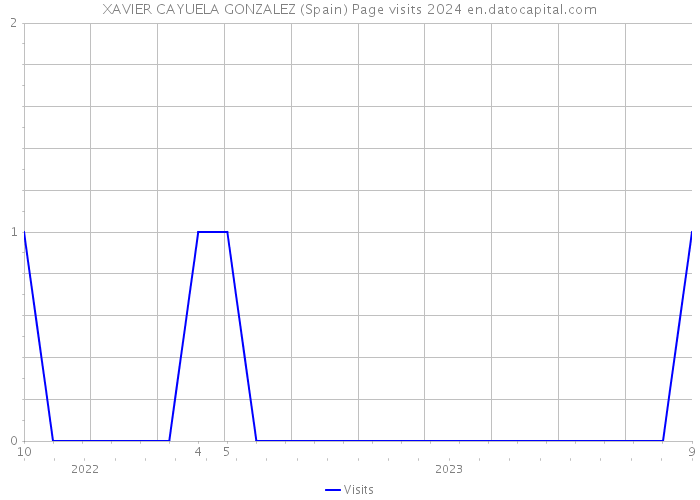 XAVIER CAYUELA GONZALEZ (Spain) Page visits 2024 