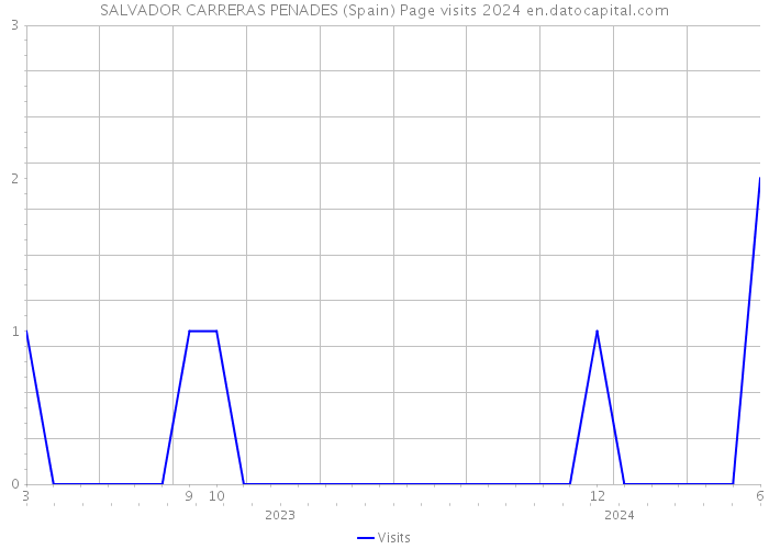 SALVADOR CARRERAS PENADES (Spain) Page visits 2024 