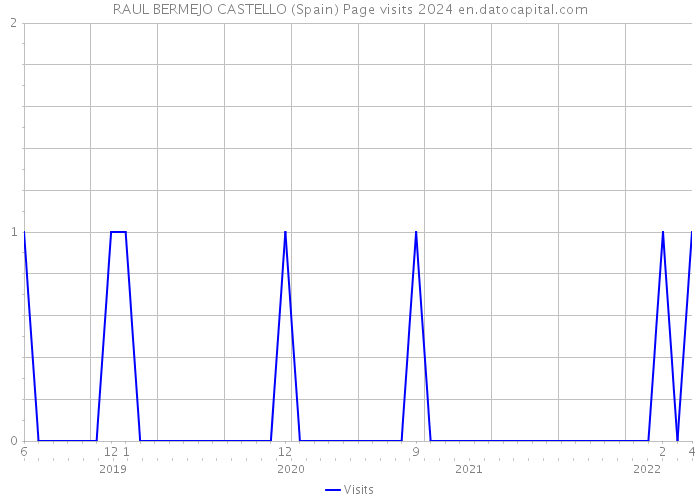 RAUL BERMEJO CASTELLO (Spain) Page visits 2024 