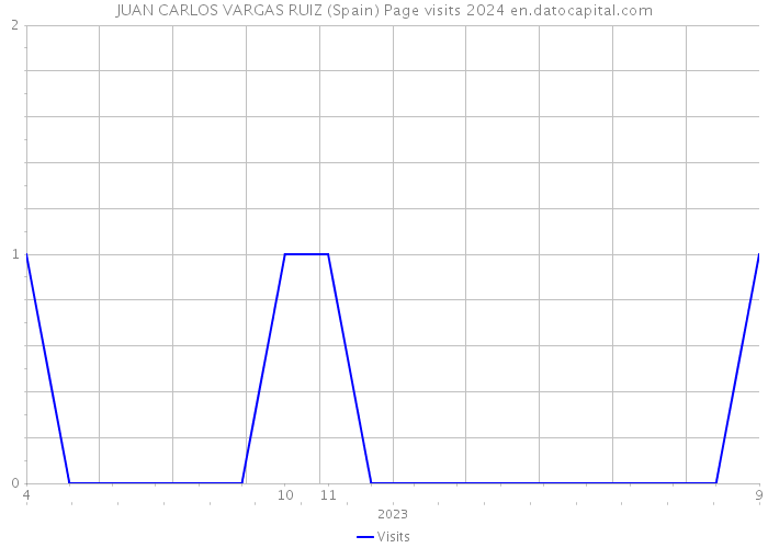 JUAN CARLOS VARGAS RUIZ (Spain) Page visits 2024 