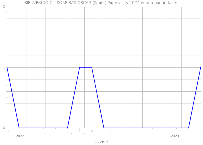 BIENVENIDO GIL SORRIBAS OSCAR (Spain) Page visits 2024 